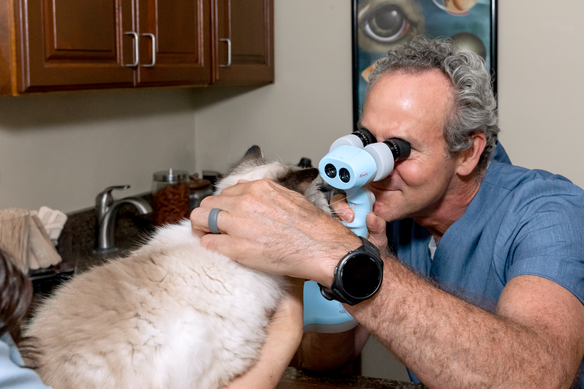 Corneal Disorders - Veterinary ophthalmology service at Animal Eye Care of Richmond