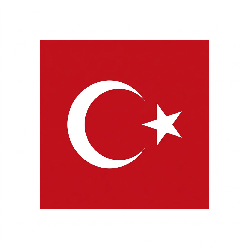 Türkçe