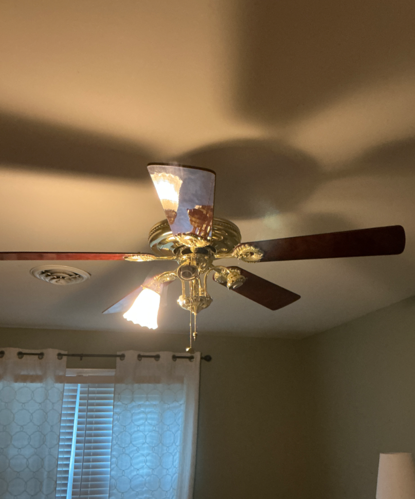 Ceiling light upgrade before
