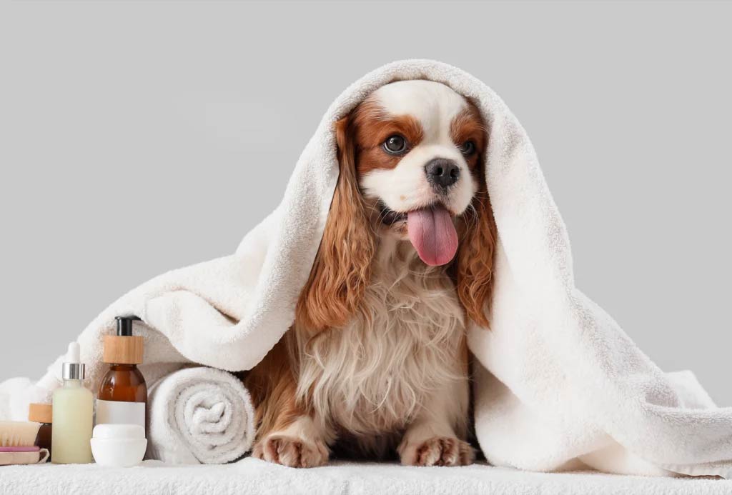 Spa Day 🛁