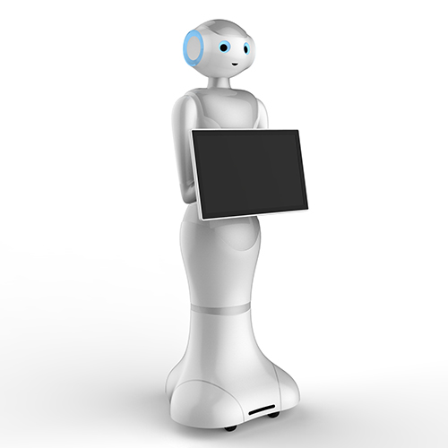 Official Pepe robot