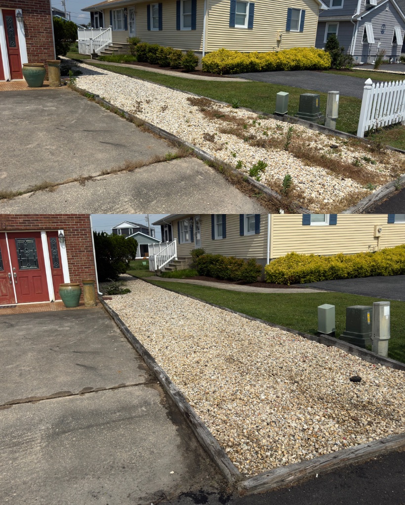 Before and after: gravel bed cleared of weeds