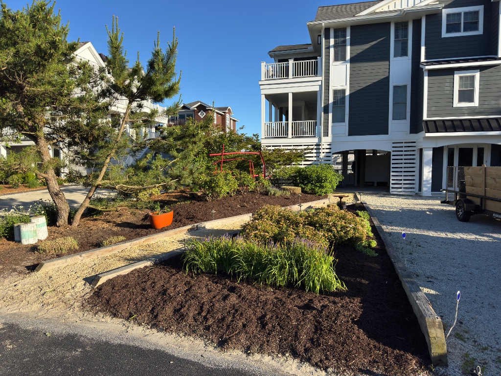 Mulched landscape bed with gravel pathway