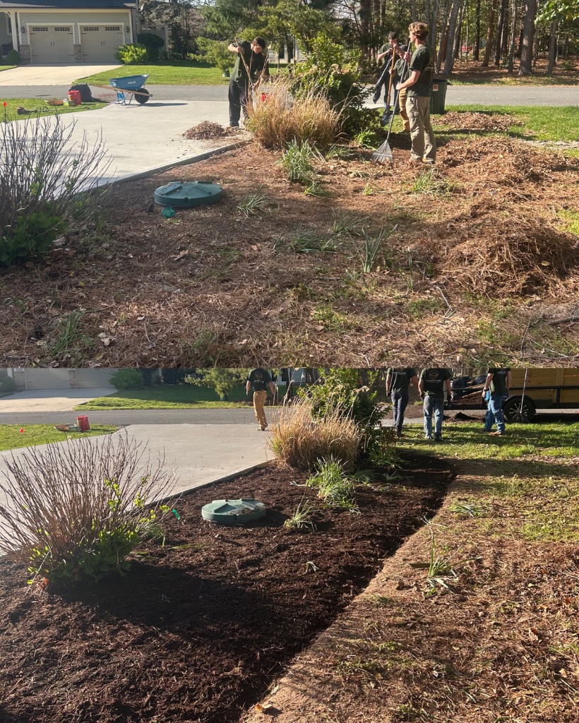 Before and after: front yard bed cleared and mulched