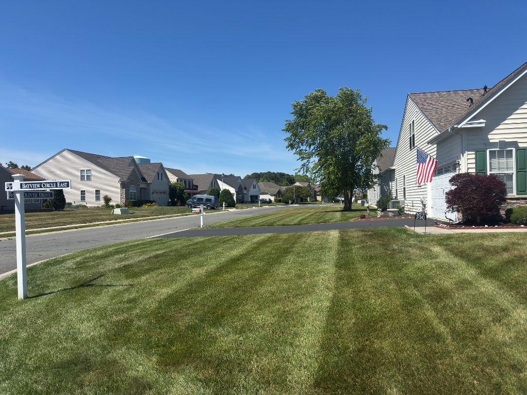 Manicured lawn with professional mowing stripes