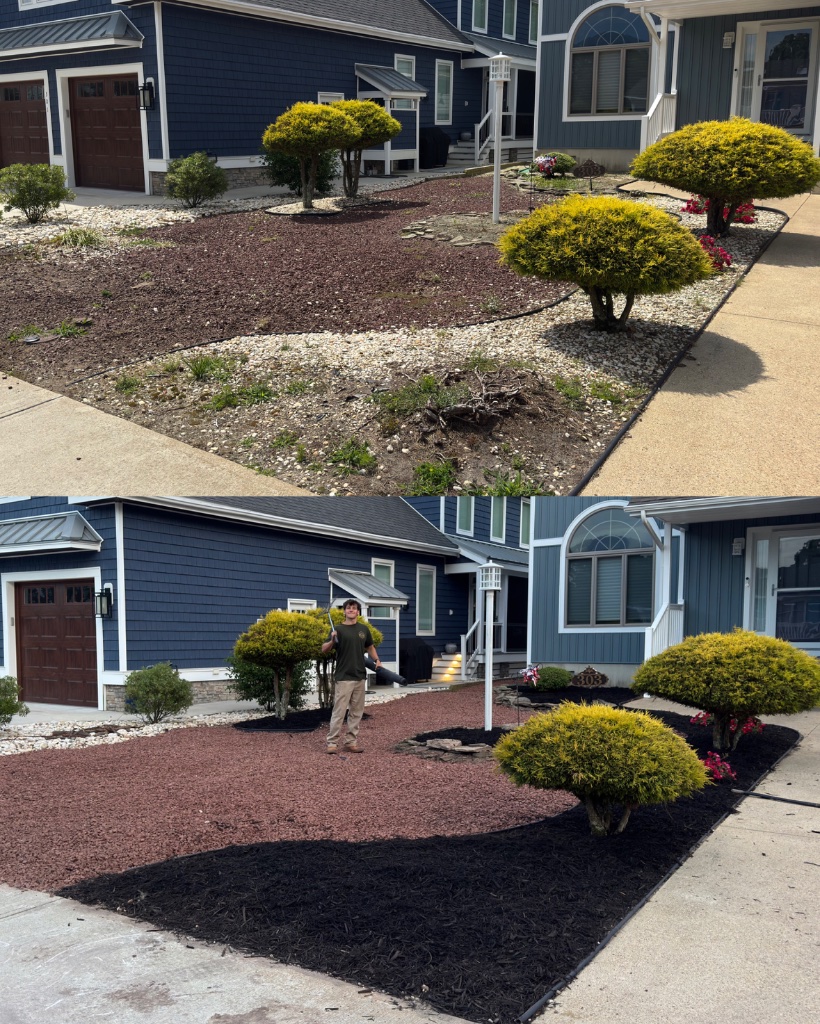 Before and after: front yard bed with stone and mulch
