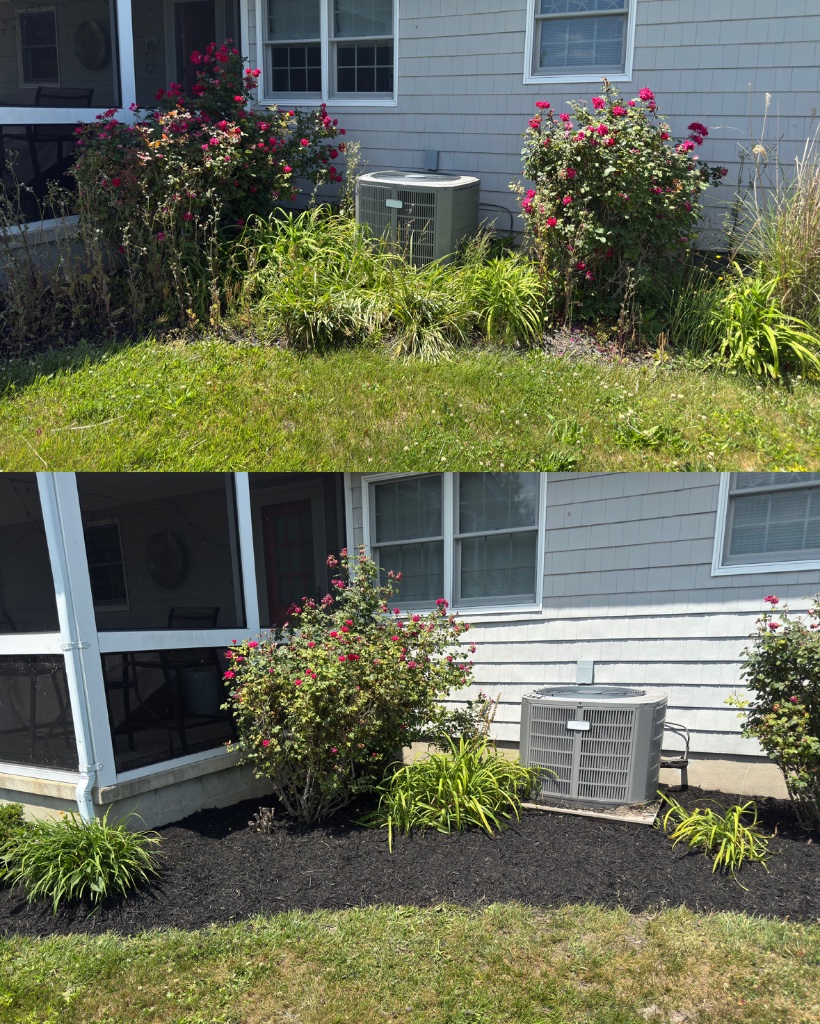 Before and after: garden bed with fresh black mulch