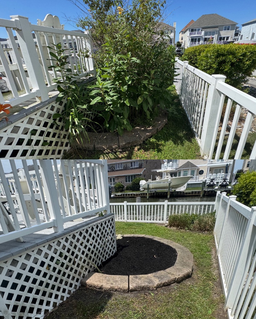 Before and after: deck garden bed cleared and mulched