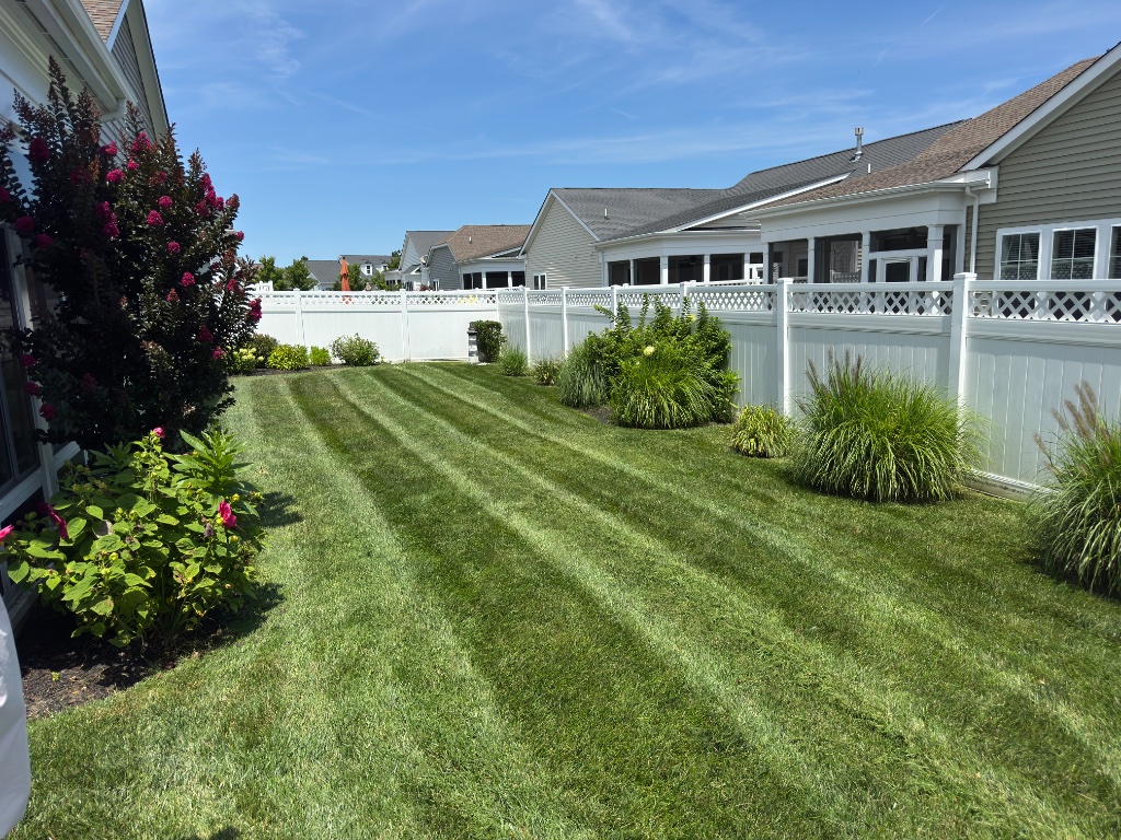 Backyard with crepe myrtle and striped lawn