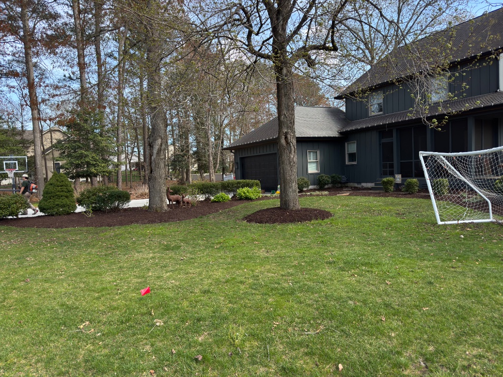 Backyard lawn with mulched beds and deer statue