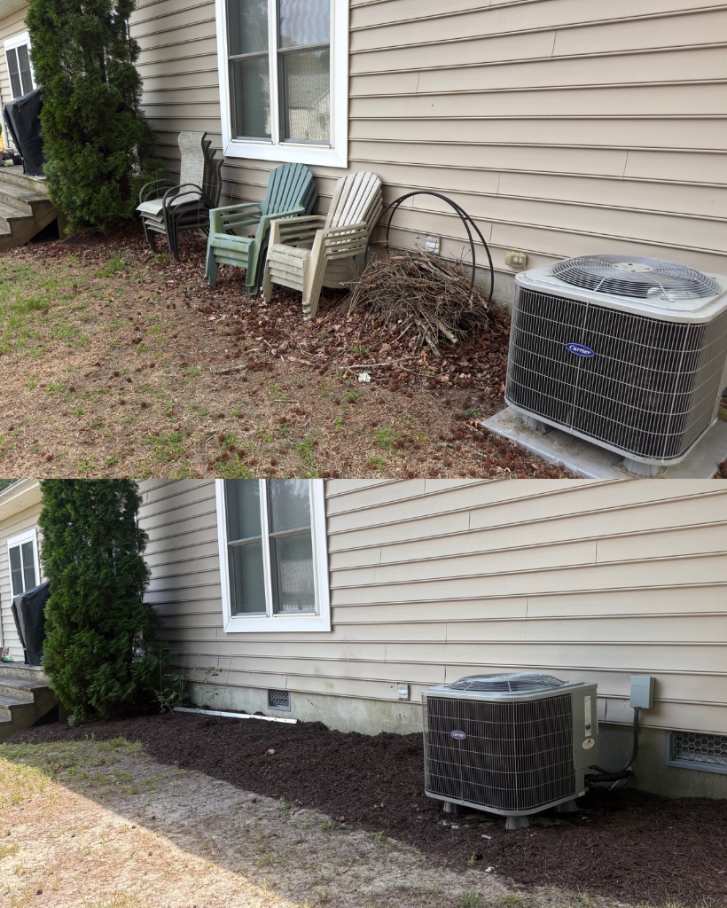 Before and after: side yard cleared and mulched