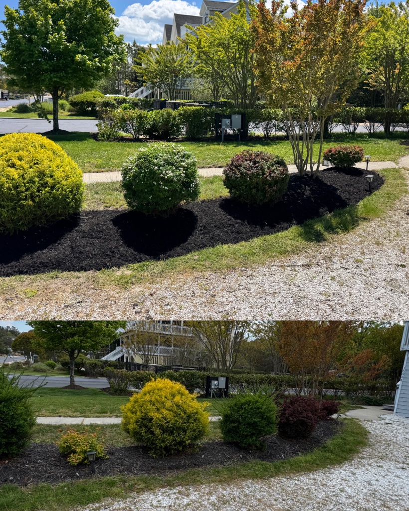 Before and after: flower bed trimmed and refreshed