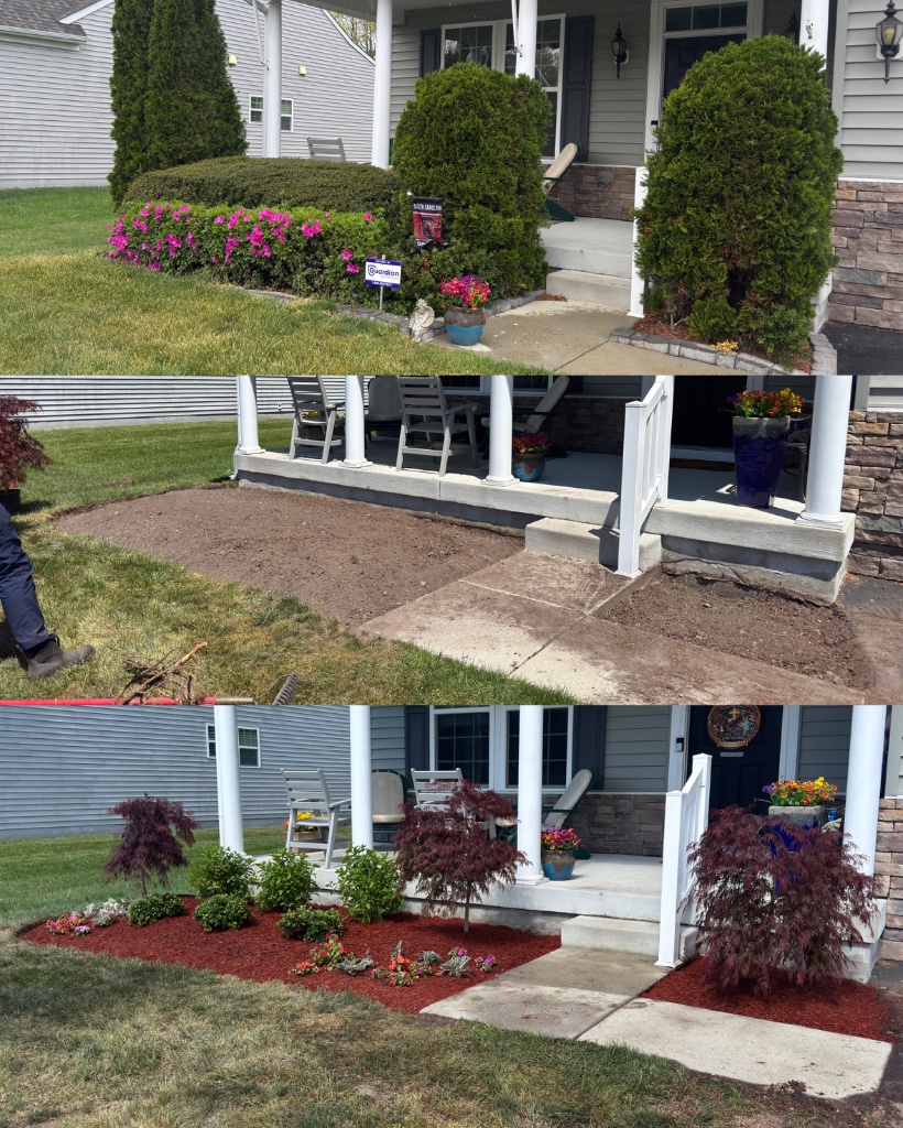 Before and after: porch bed with Japanese maples