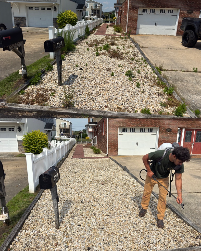 Before and after: gravel bed weeded and cleaned