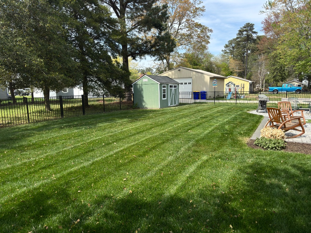 Backyard with mowed stripes and storage shed