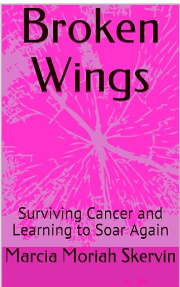 Broken Wings book cover
