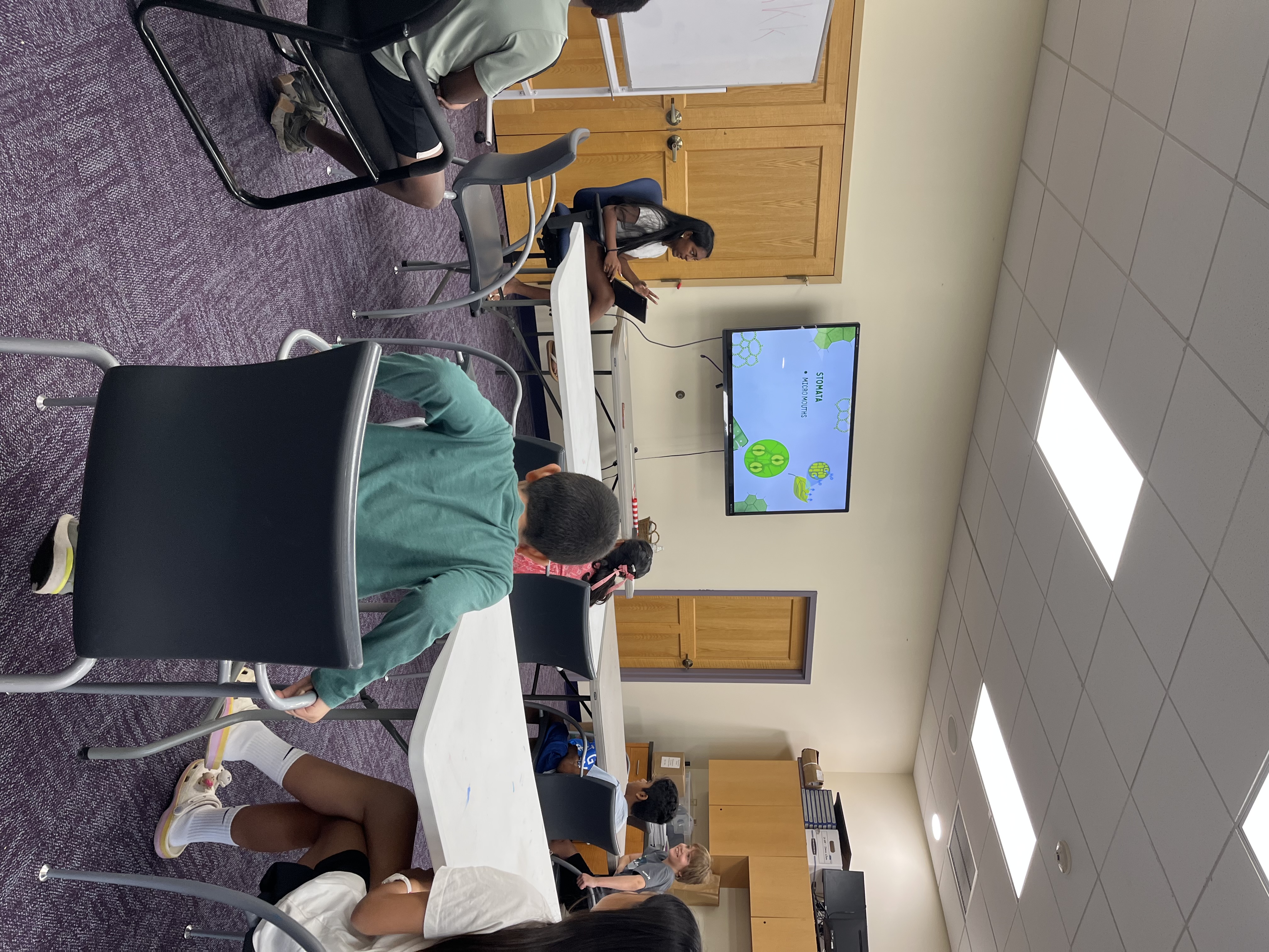 A free science class in progress in a library room, everyone facing the screen at the front.
