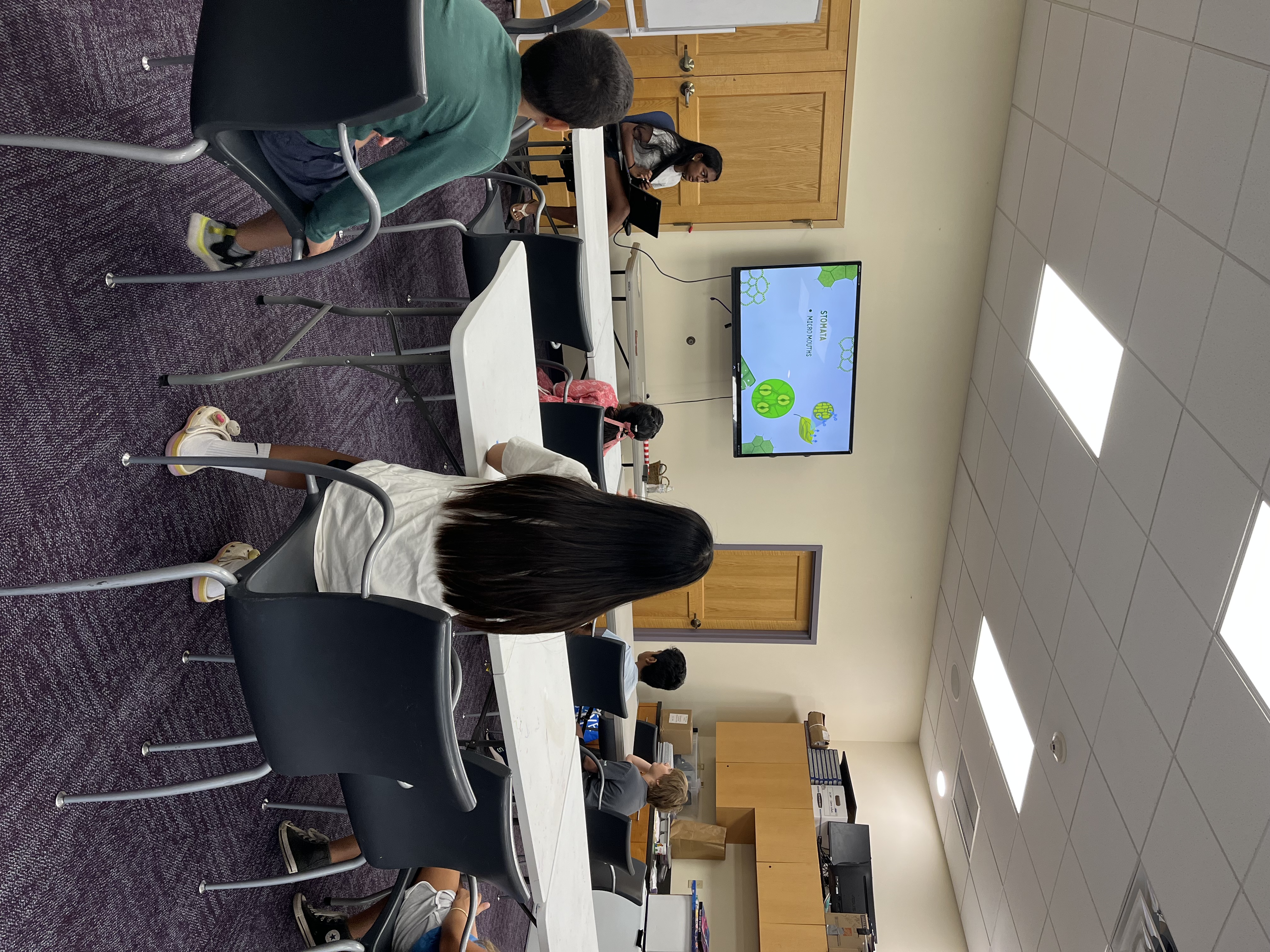 A wide view of a library programme room during a free science session, the lesson up on the screen.