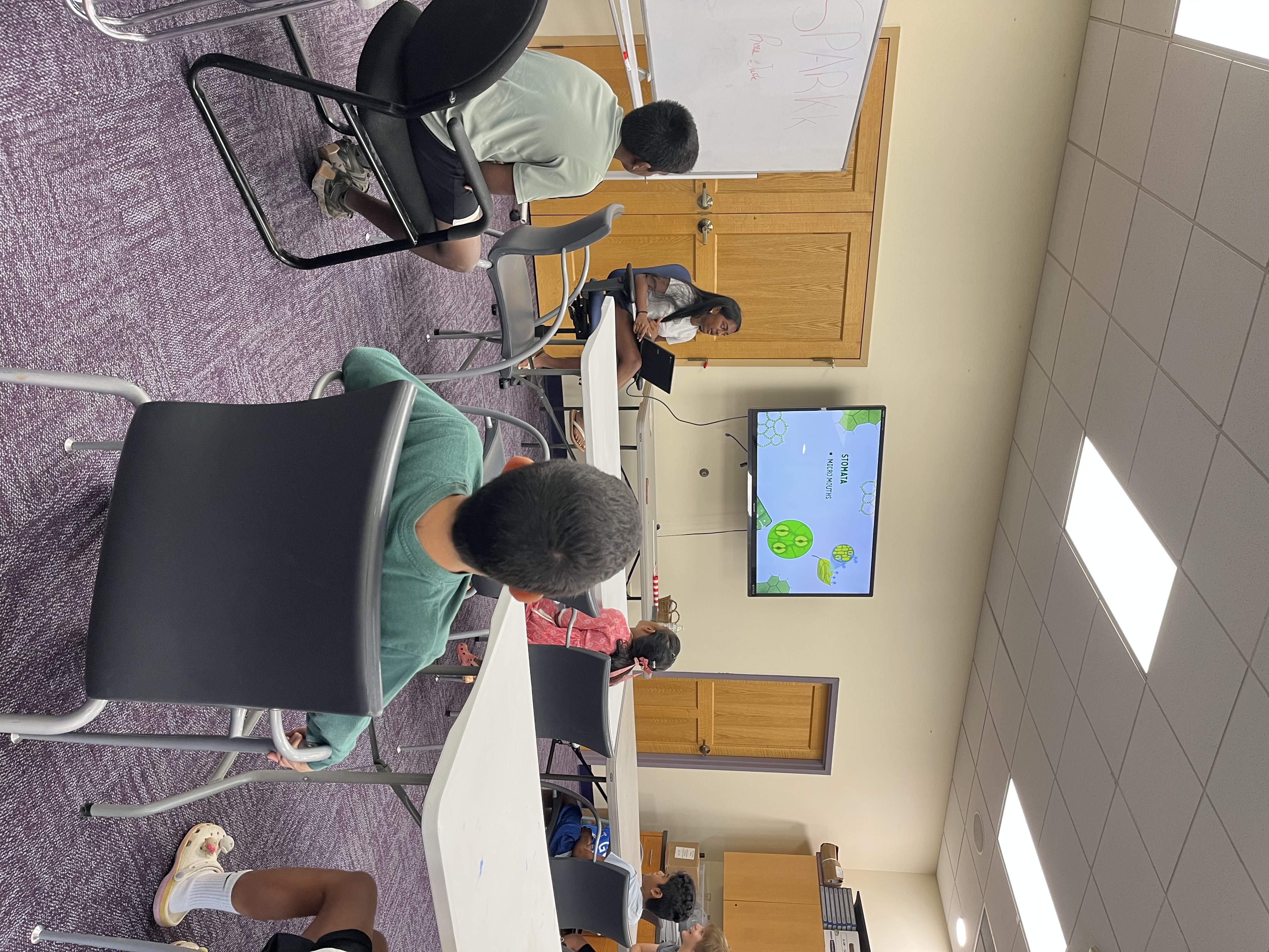 A free science class at a library, the SPARKk name written up on the whiteboard beside the screen.