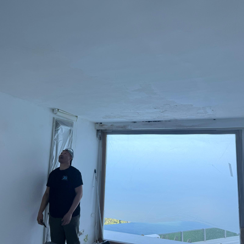 Villa repintada con acabado blanco perfecto y vistas al mar de Ibiza