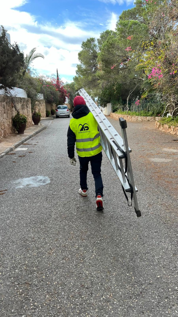 Técnico de Ibiza Solutions subiendo escalera para cirugía de palmera