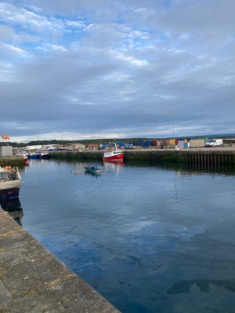The Harbour