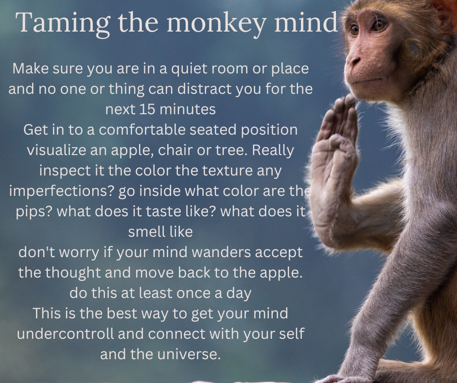 Taming the Monkey Mind