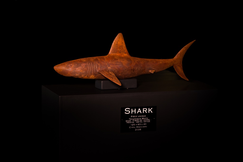 Shark