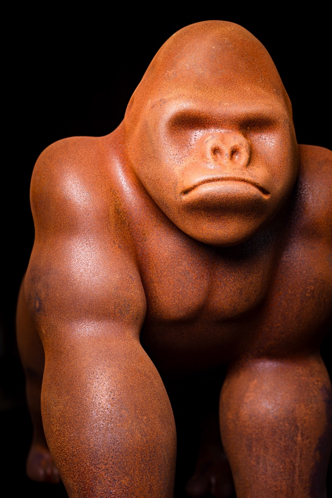 Gorilla