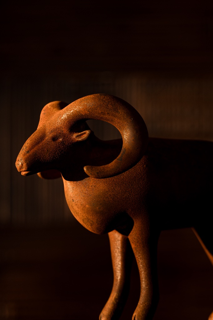 Mouflon