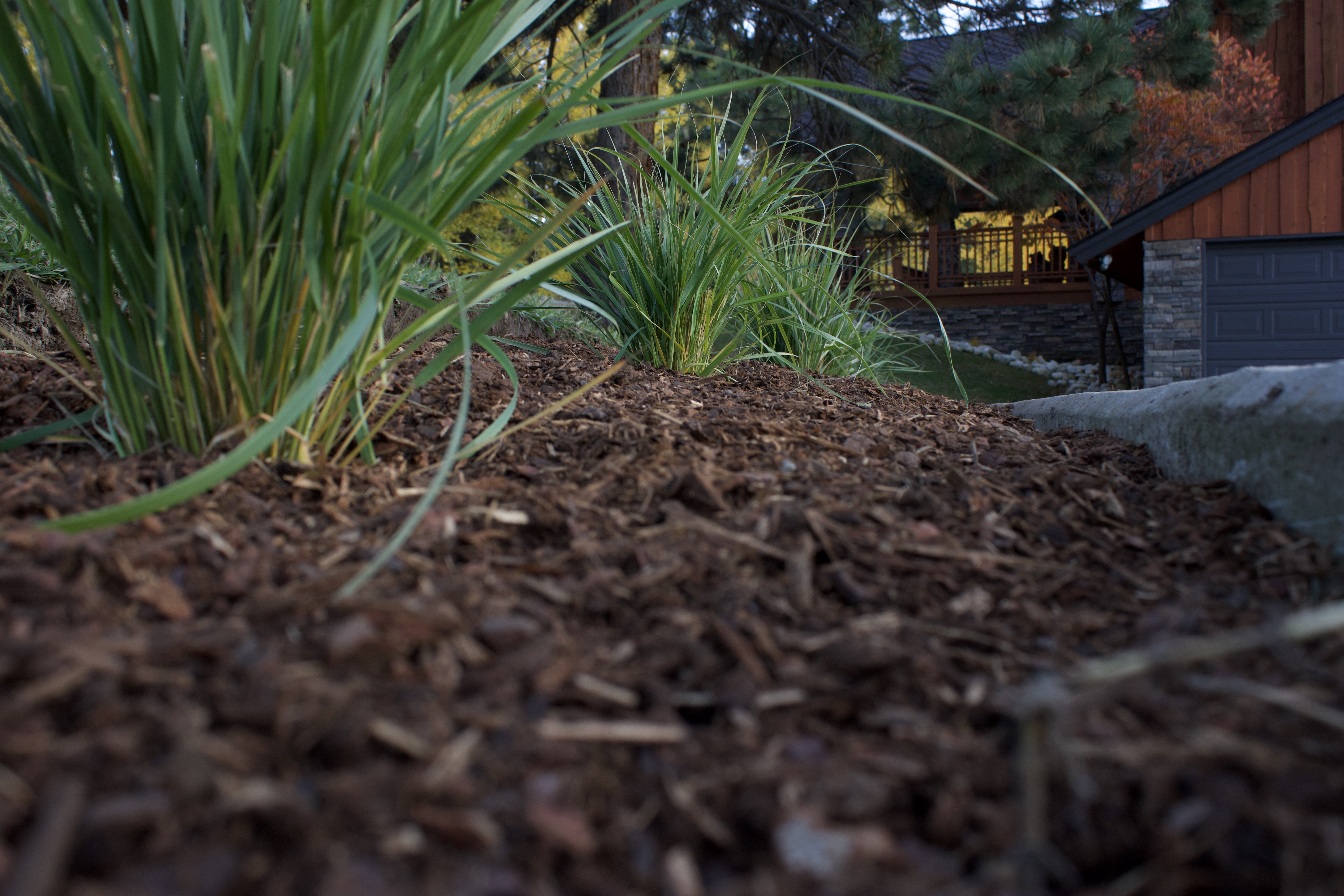 Landscape Bed Creation