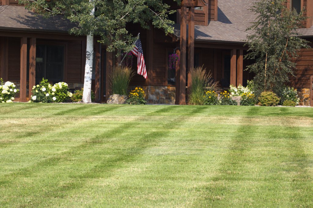 Mowed lawn with striping pattern