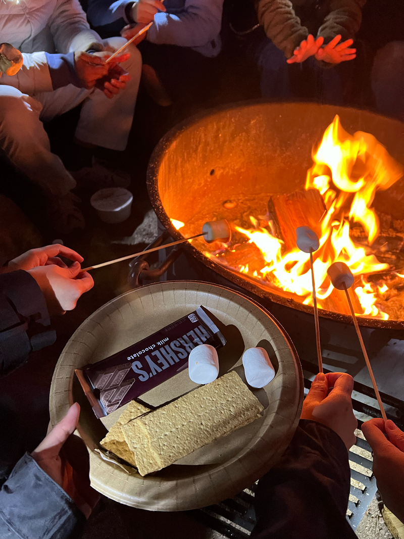 /2026 베스트/여구가 조슈아트리 별멍투어, 대자연속 BBQ 스테이크와 별사진