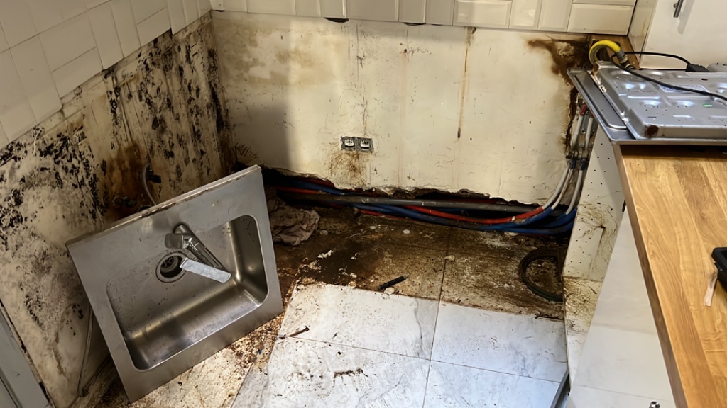 Rénovation Cuisine Complète