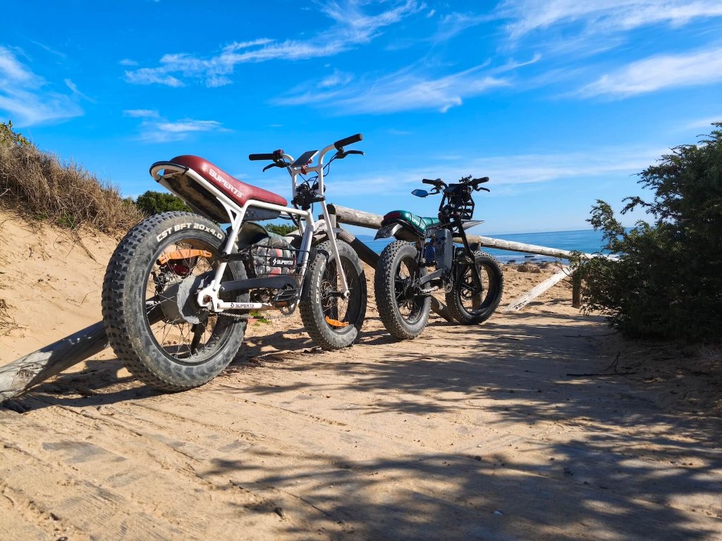 e-bike El Palmar