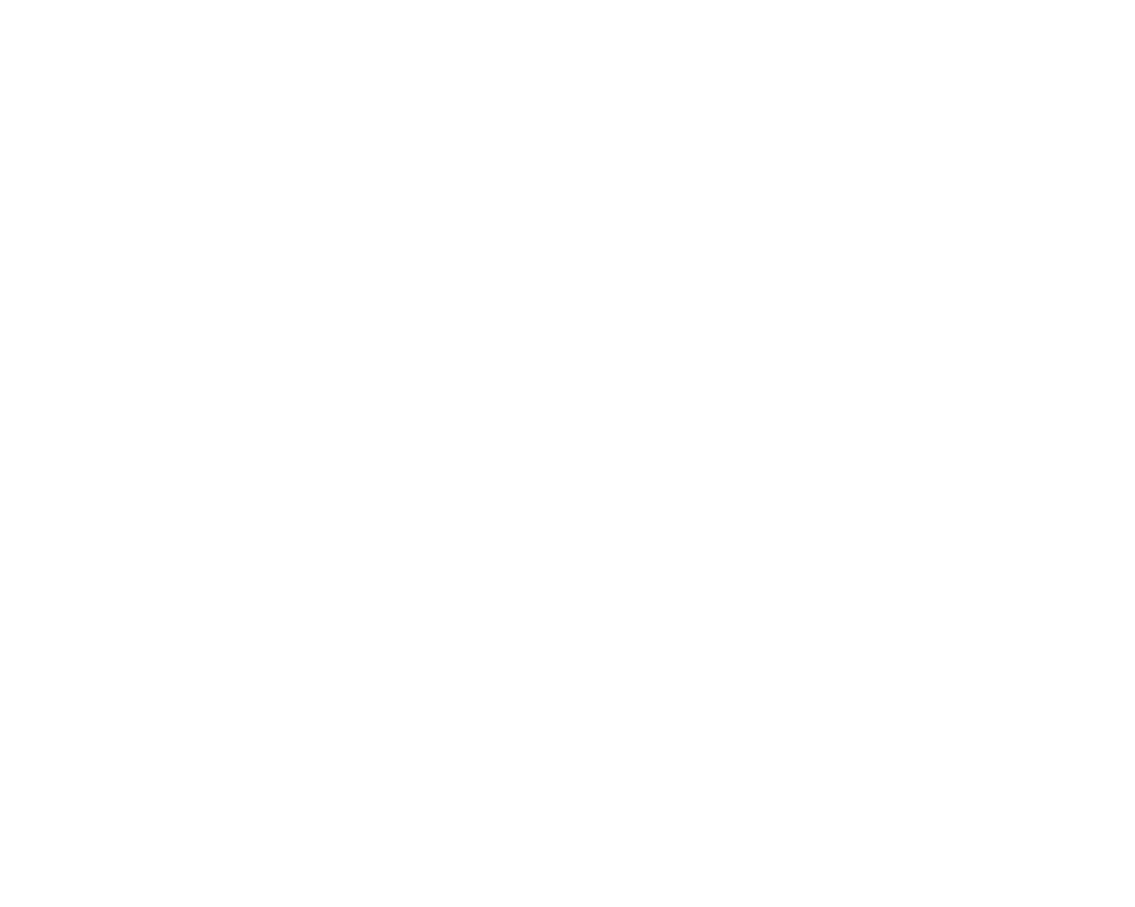 The Beach Riders