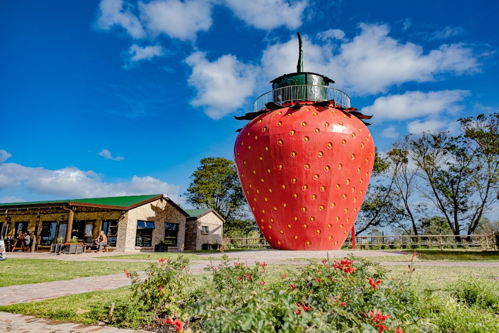 Redberry Farm