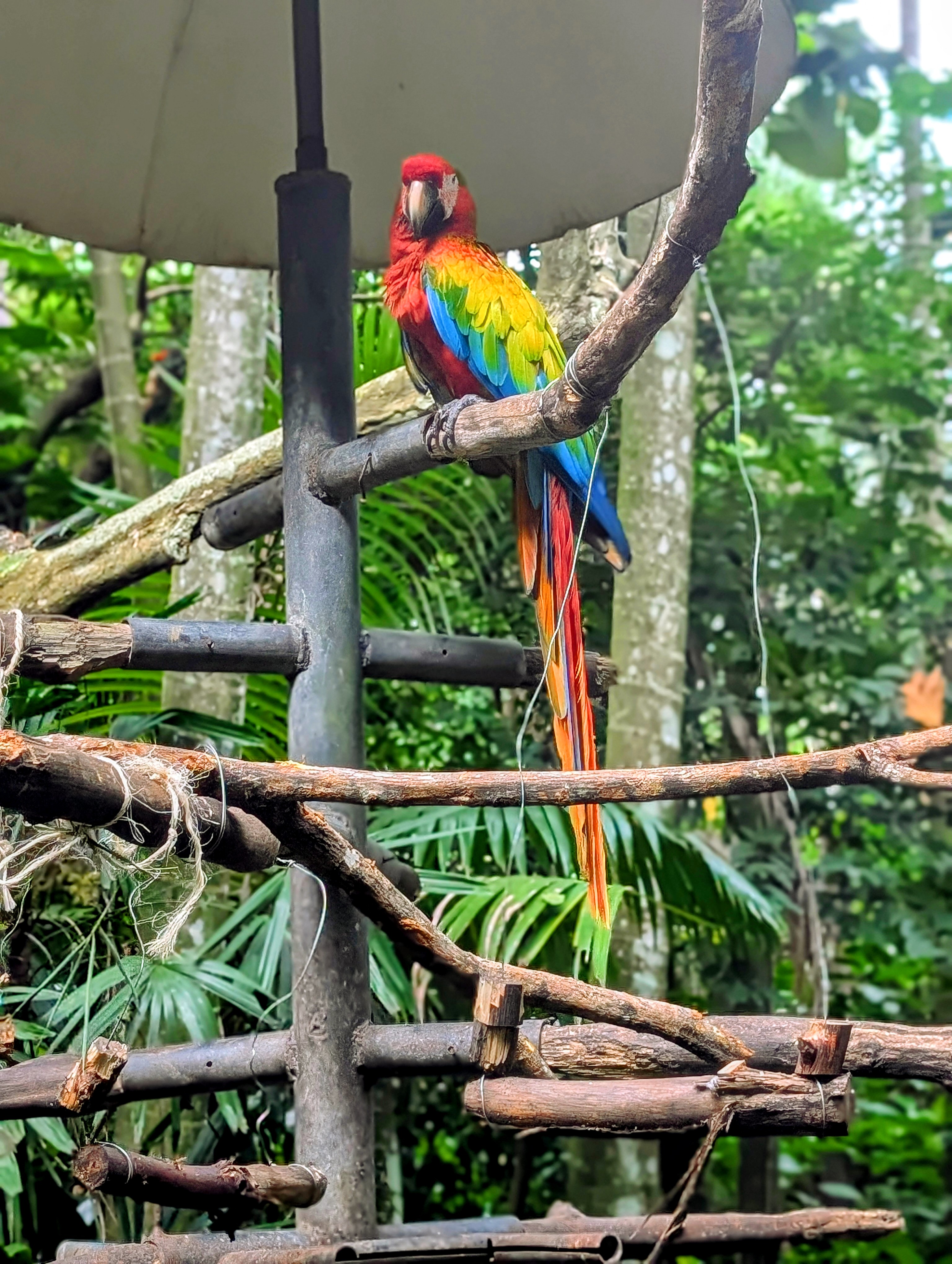 Rescate Wildlife Rescue Center 2