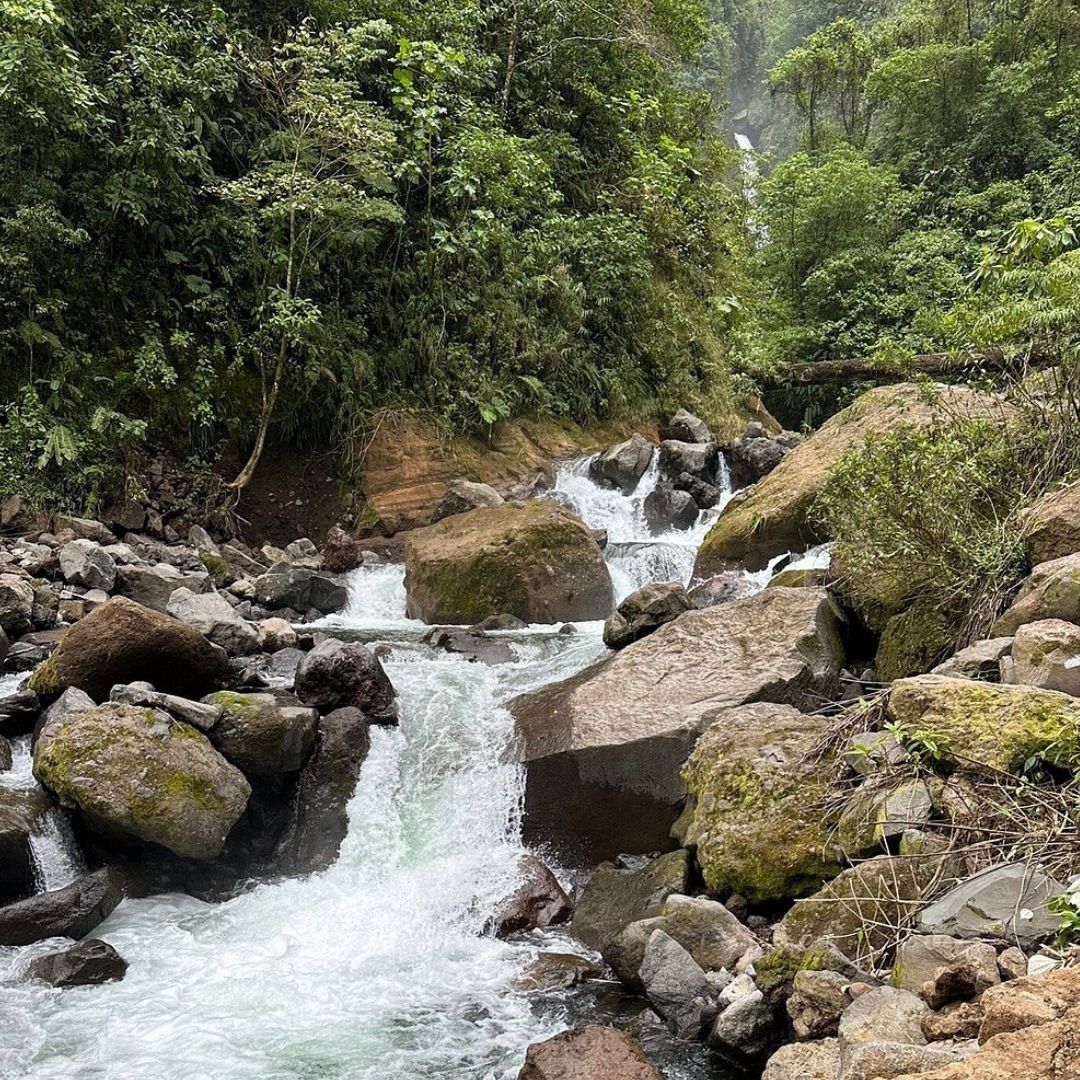 Sarapiquí River 2