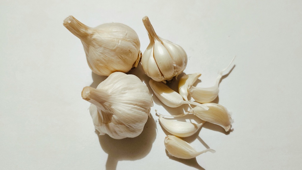 Ail — Allium sativum