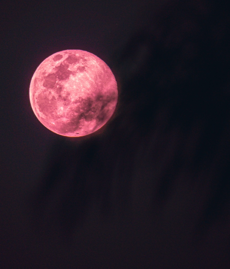 Lune Rose