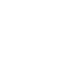 ArkCybr