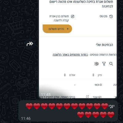 המלצה 12