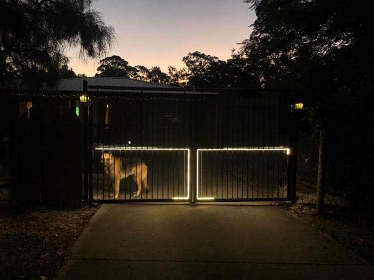 Swing Gate with LED Lights at Night
