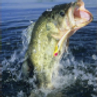 Angler's Edge logo