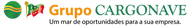 Site - Grupo Cargonave logo