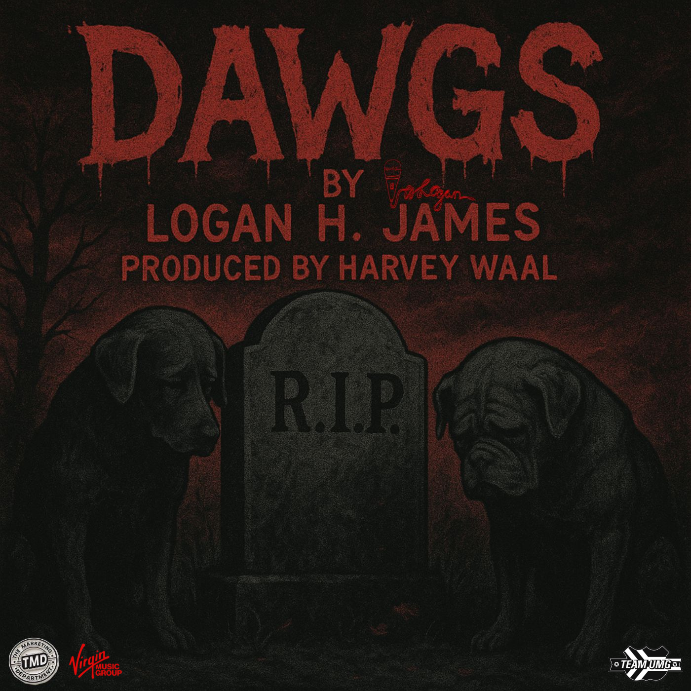 Dawgs
