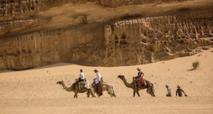 Camel train in the Sinai Desert