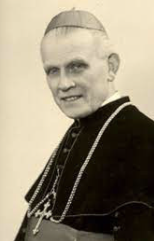 Cardinal Theodor Innitzer