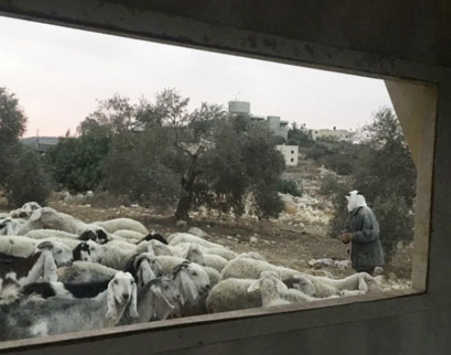 While shepherds watched . . .
